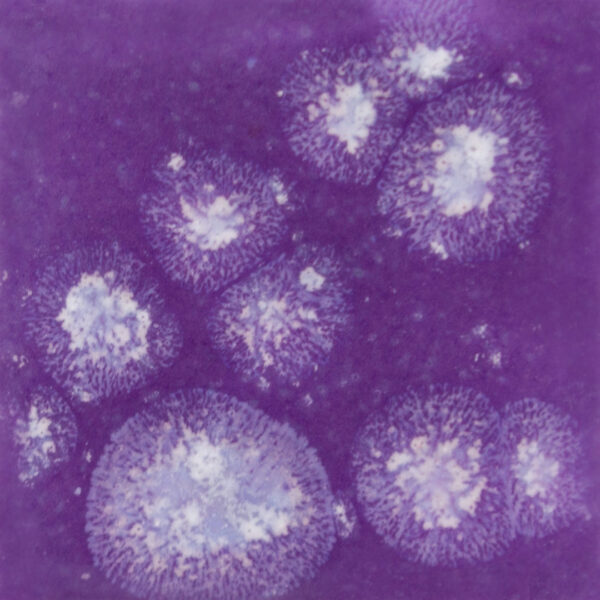 Esmalte Mayco - Jungle Gems - S - 2723 Grape Divine